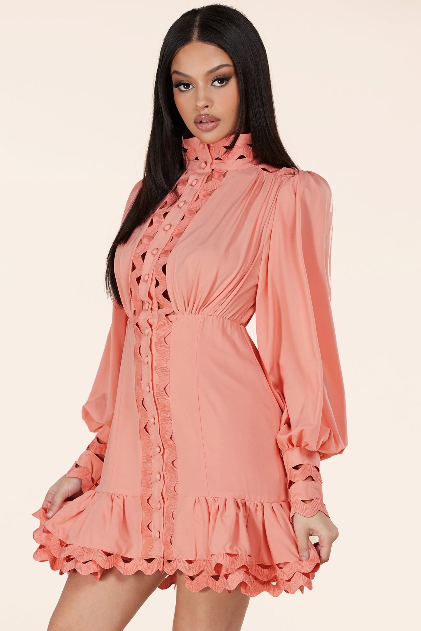 Blush Lace Eyelet Long Sleeve Mini Dress - steven wick