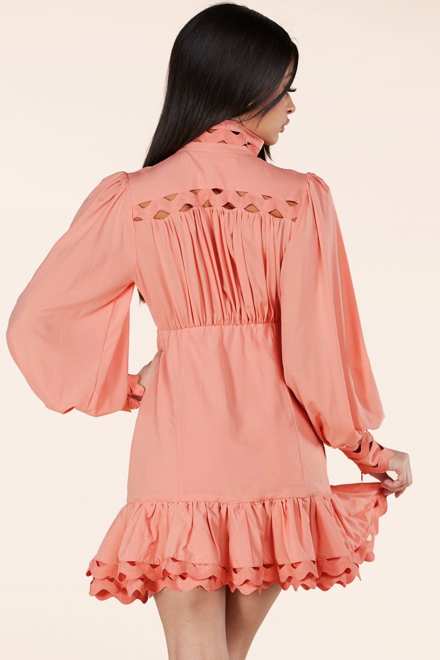 Blush Lace Eyelet Long Sleeve Mini Dress - steven wick