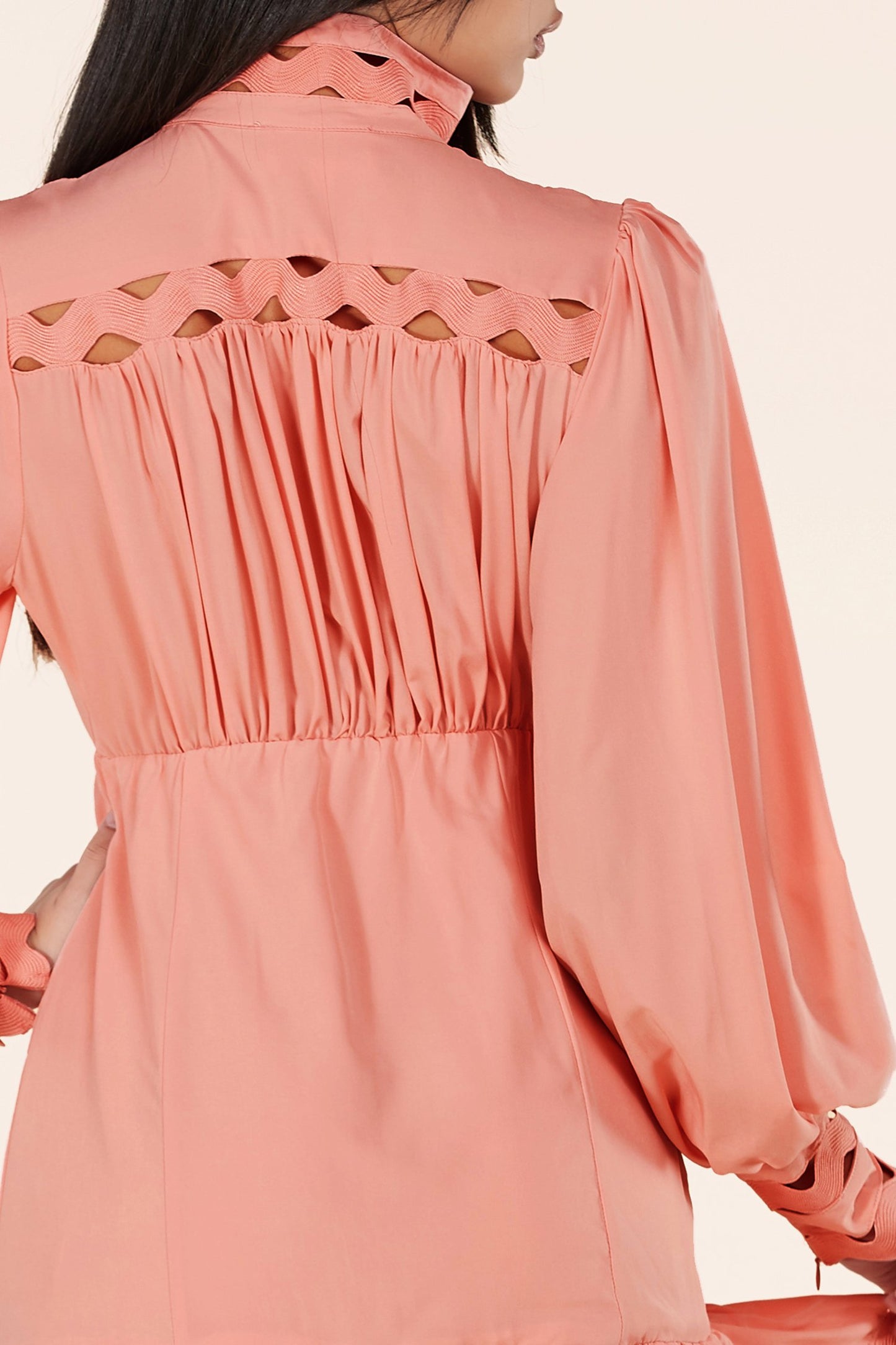 Blush Lace Eyelet Long Sleeve Mini Dress - steven wick