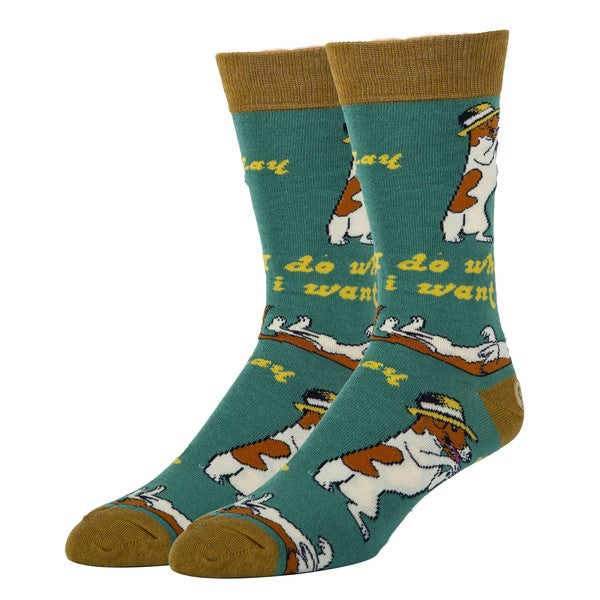 Do what I want - Men's Cotton Crew Funny Socks - steven wick