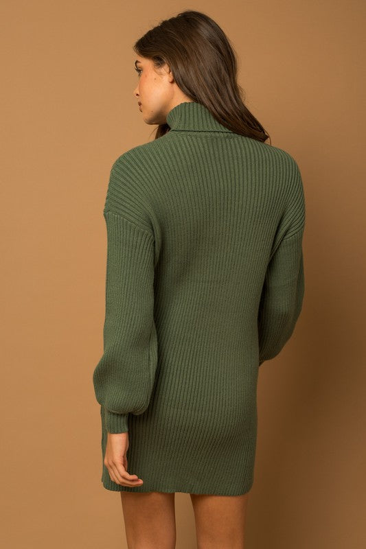 Turtle Neck Balloon Sleeve Sweater Dress - steven wick