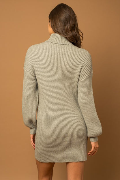 Turtle Neck Balloon Sleeve Sweater Dress - steven wick