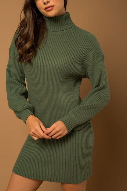 Turtle Neck Balloon Sleeve Sweater Dress - steven wick