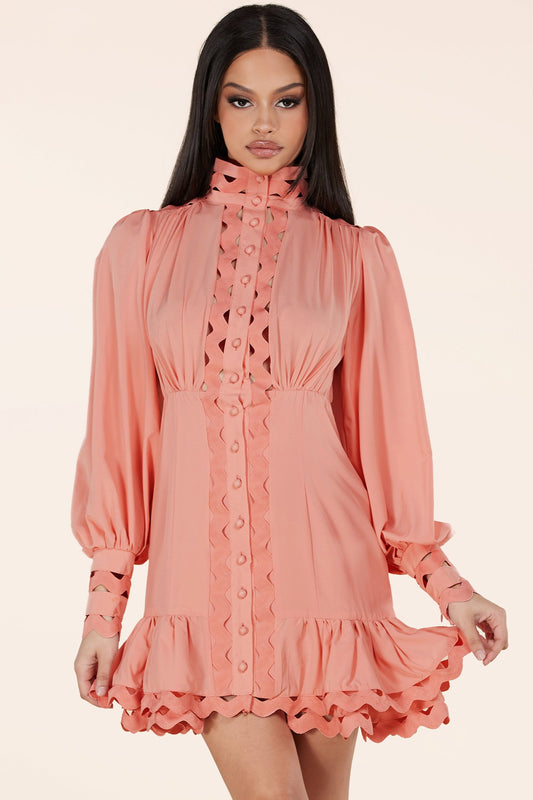 Blush Lace Eyelet Long Sleeve Mini Dress - steven wick