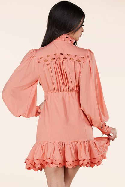 Blush Lace Eyelet Long Sleeve Mini Dress - steven wick