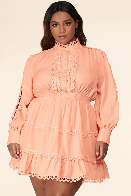 Plus Size Blush Lace Eyelet Long Sleeve Mini Dress - steven wick