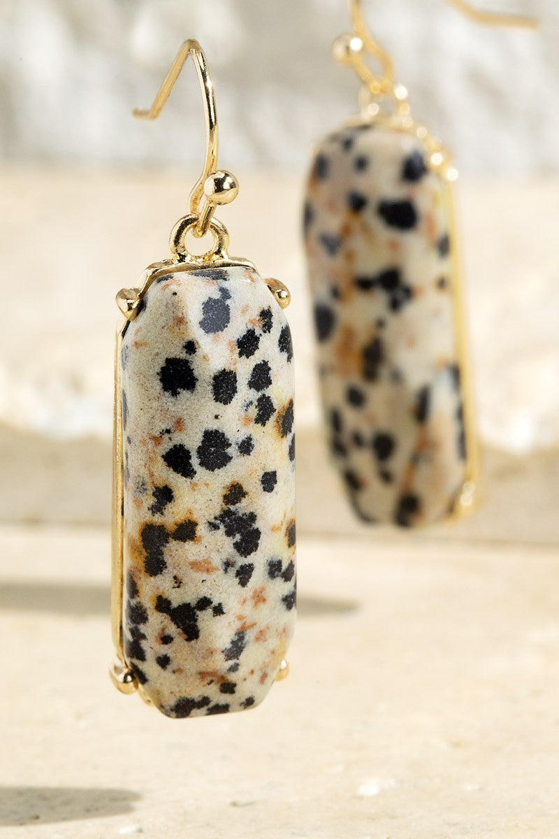 Semi-Precious Stone Dangle Drop Fish Hook Earrings - steven wick